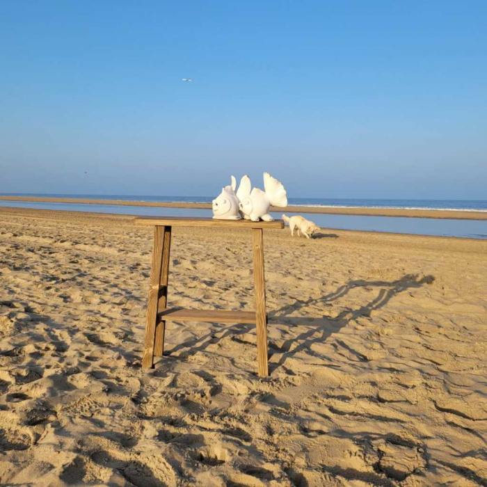 Tafeltje  (De Meer)