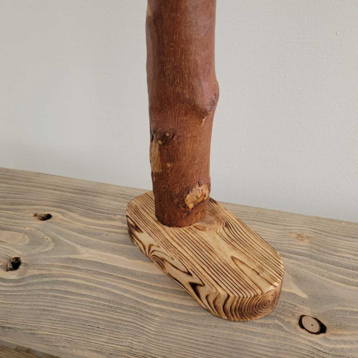 Boomstronk lamp (Singel) - Image 2