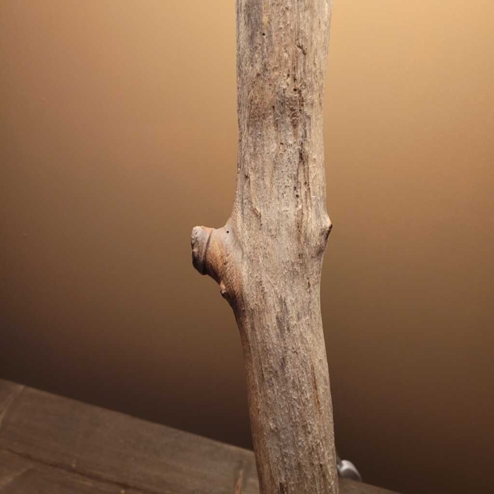 Boomstronk lamp (Pagediep) - Image 5